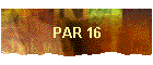 PAR 16