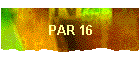 PAR 16