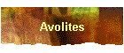 Avolites