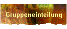 Gruppeneinteilung